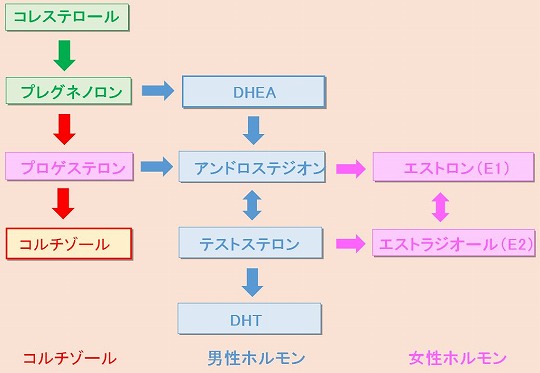 DHEA（デヒドロエピアンドロステロン）