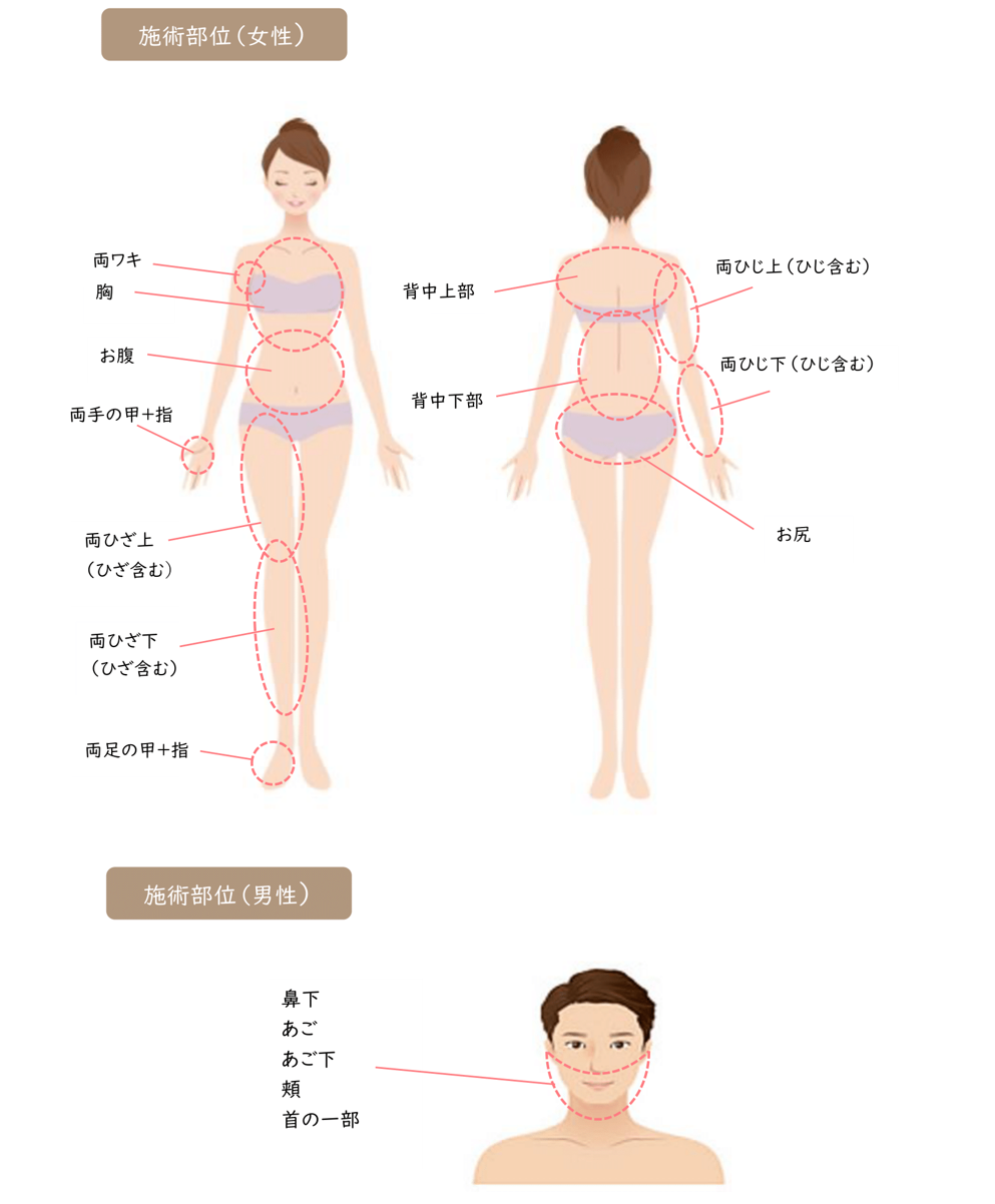 施術部位